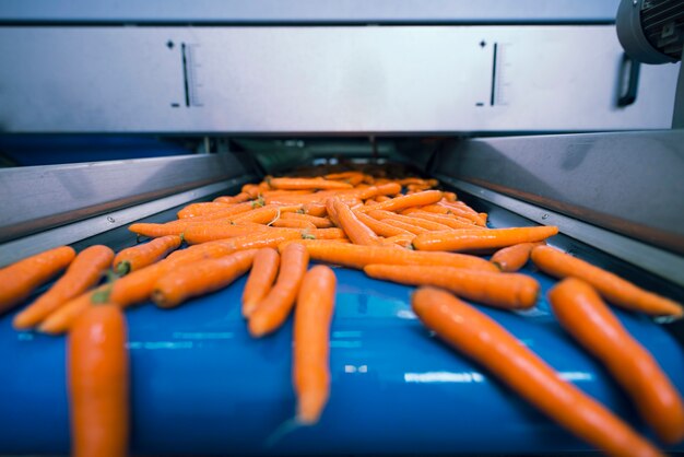 How Can Advanced Machinery Revolutionize Food Safety and Efficiency?